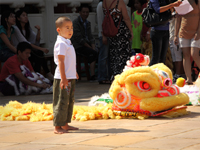 Lion Dancer